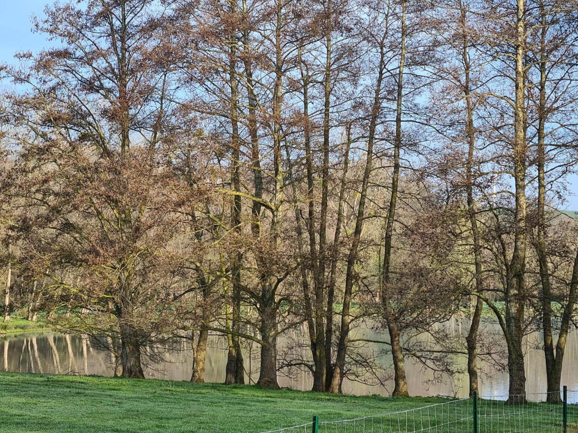 La Taniere Villa Gueures Екстериор снимка